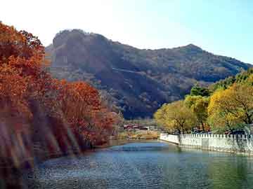 新澳天天开奖资料大全旅游团，油封品牌